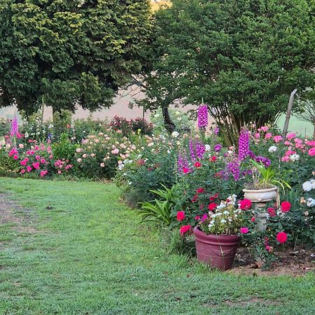 Piccadilly Farm Cottages Lions River Экстерьер фото