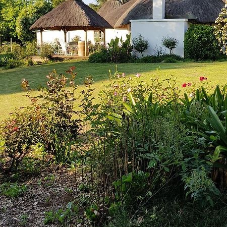 Piccadilly Farm Cottages Lions River Экстерьер фото