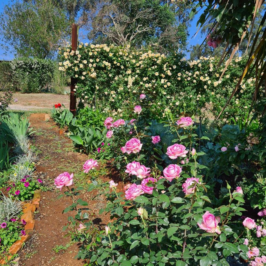 Piccadilly Farm Cottages Lions River Экстерьер фото